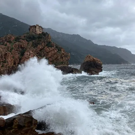 Grand T2 Duplex, Terrasse Et Jardin شقة *