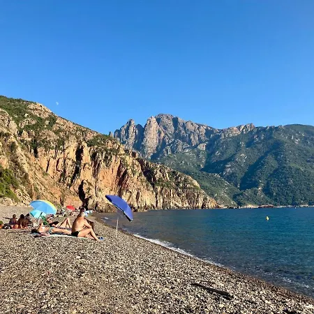 شقة Grand T2 Duplex, Terrasse Et Jardin