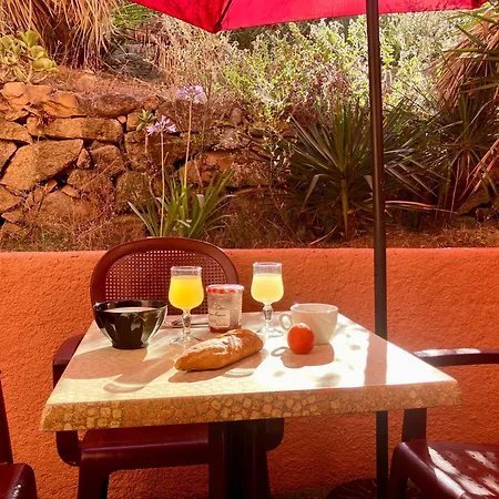 Grand T2 Duplex, Terrasse Et Jardin Porto (Corsica)