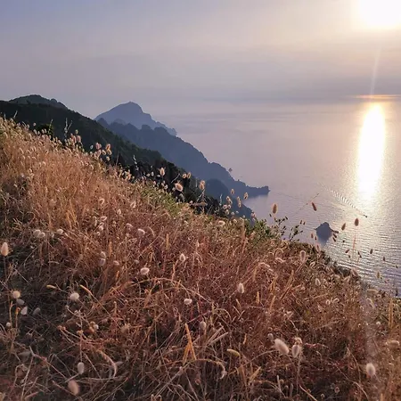 Grand T2 Duplex, Terrasse Et Jardin * Porto (Corsica)