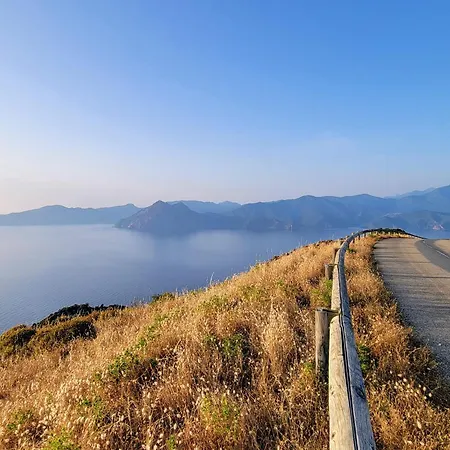 Grand T2 Duplex, Terrasse Et Jardin