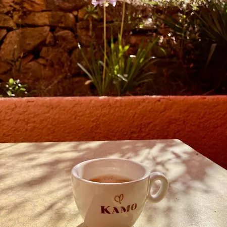 Grand T2 Duplex, Terrasse Et Jardin