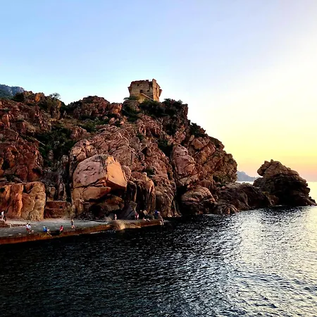 Grand T2 Duplex, Terrasse Et Jardin