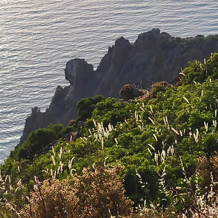 Grand T2 Duplex, Terrasse Et Jardin Lägenhet