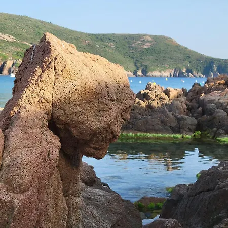 Grand T2 Duplex, Terrasse Et Jardin *