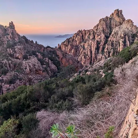 Grand T2 Duplex, Terrasse Et Jardin