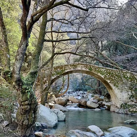 Lägenhet Grand T2 Duplex, Terrasse Et Jardin Porto (Corsica)