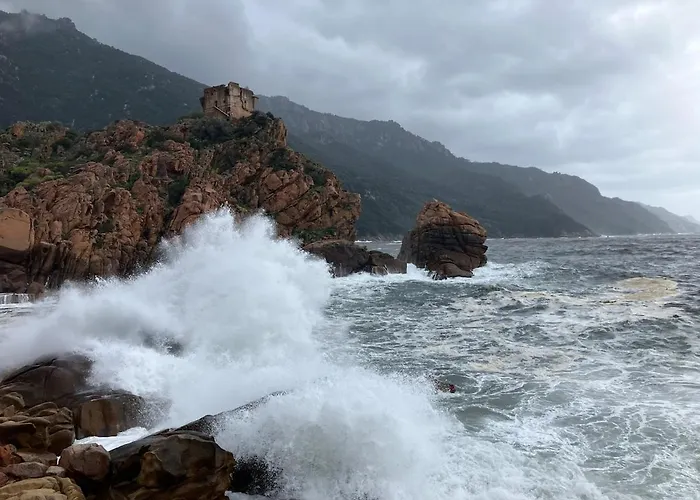 Grand T2 Duplex, Terrasse Et Jardin דירה *