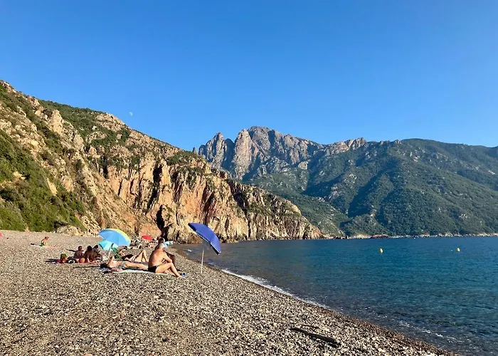 דירה Grand T2 Duplex, Terrasse Et Jardin