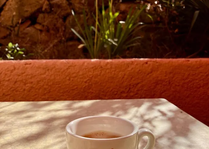 Grand T2 Duplex, Terrasse Et Jardin