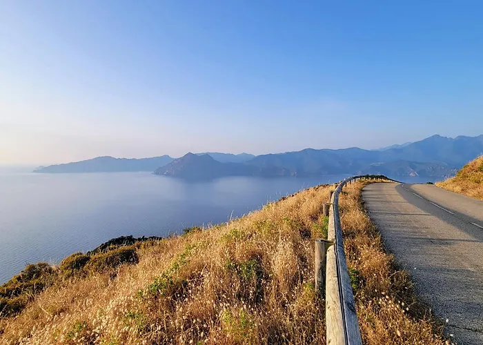Grand T2 Duplex, Terrasse Et Jardin