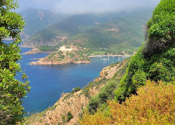 Grand T2 Duplex, Terrasse Et Jardin דירה