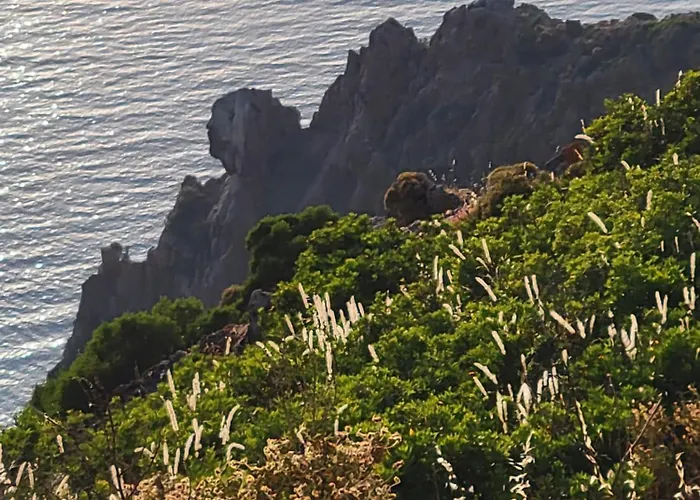 Grand T2 Duplex, Terrasse Et Jardin דירה