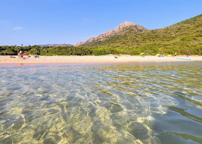 דירה Grand T2 Duplex, Terrasse Et Jardin *