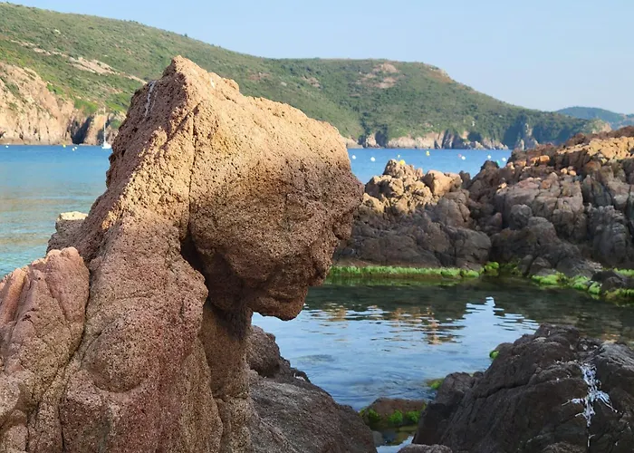 Grand T2 Duplex, Terrasse Et Jardin *